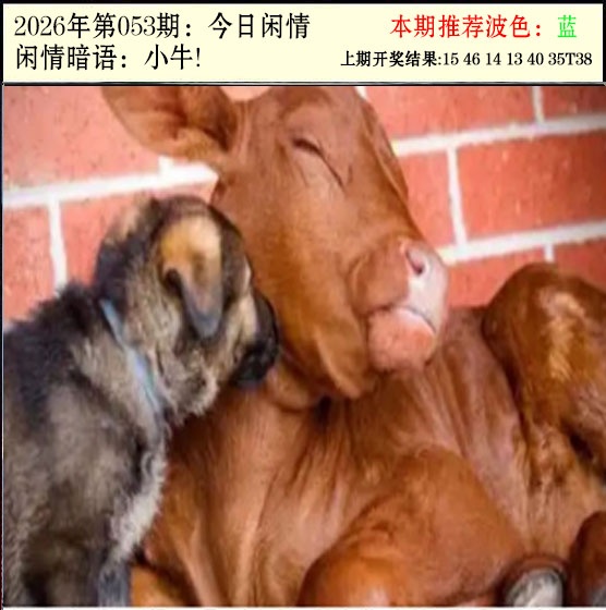 053期今日闲情2[图]