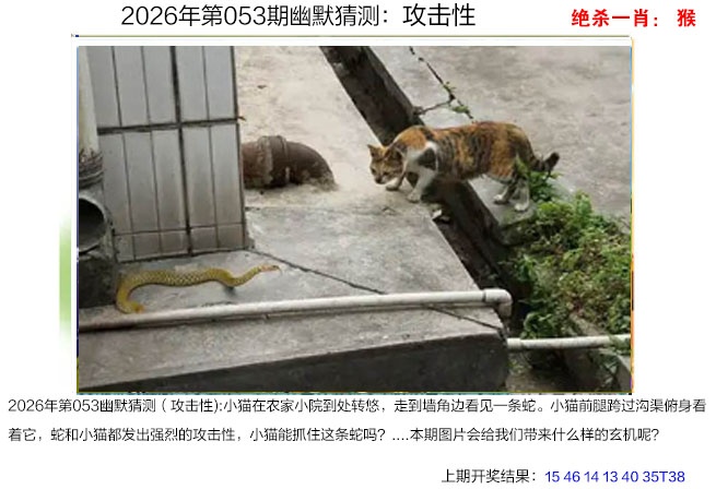 053期幽默猜测[图]