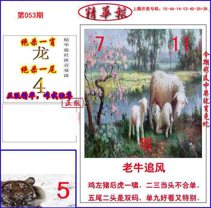 053期新精华报报[图]