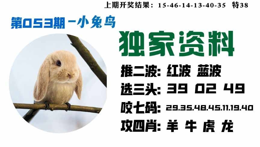 053期小兔鸟[图]